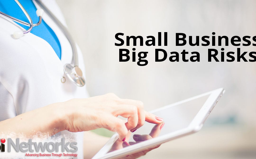 Small Business – Big Data Risks